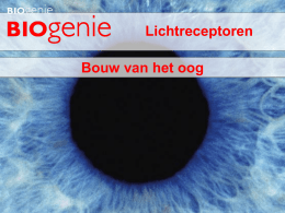 Lichtreceptoren Bouw van het oog   Hoe wordt het oog beschermd?  Bescherming oog Beweging oog Bouw oogbolwand Doorzichtige oogdelen Cataract  • Oogkas  stevige bescherming; • Vetkussen  oog op zijn.