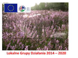 Lokalne Grupy Działania 2014 – 2020  Lokalne Grupy Działania 2014 – 2020   LGD – Zachodniopomorskie - obecnie   LEADER może być realizowany na obszarach.