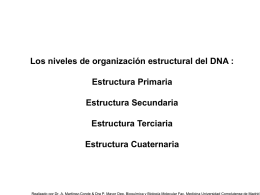 Los niveles de organización estructural del DNA :  Estructura Primaria Estructura Secundaria Estructura Terciaria Estructura Cuaternaria   Nucleosomas, Cromatosomas, Solenoides y Bucles radiales. Estructura del Cromosoma.