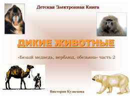 Детская Электронная Книга  ДИКИЕ ЖИВОТНЫЕ «Белый медведь, верблюд, обезьяна» часть 2  Виктория Кузнецова   БЕЛЫЙ МЕДВЕДЬ  Белый медведь живет на севере, где всегда очень холодно.