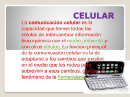 CELULAR La comunicación celular es la capacidad que tienen todas las células de intercambiar información fisicoquímica con el medio ambiente y con otras células.