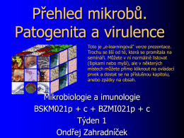 Přehled mikrobů. Patogenita a virulence Toto je „e-learningová“ verze prezentace. Trochu se liší od té, která se promítala na semínáři.