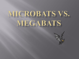 LEQ: What are the similarities and differences between microbats and megabats?  You should be able to answer this question after watching this PowerPoint.             All.