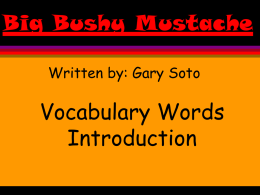 Big Bushy Mustache Written by: Gary Soto  Vocabulary Words Introduction   bushy Fluffy or thick like a bush     costume a set of special clothes     disguise a costume or make-up someone wears so no one.