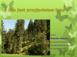autor:  Natalia Rzęsa uczennica klasy V ,,c” Szkoła Podstawowa nr 4 w Sandomierzu.   Lasy- zielone bogactwo Ziemi. Lasy to jeden z najważniejszych elementów świata przyrody ożywionej.