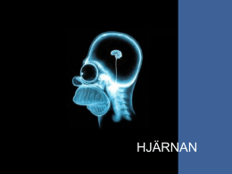 HJÄRNAN   Hjärnans delar Hemisfärer Lober Pannloben, lobus frontalis Tinningloben, lobus temporalis Hjässloben, lobus parietalis Nackloben, lobus occipitalis  Hjärnbarken Storhjärnan    Kvinnors och mäns hjärnor ser olika ut.  Det finns lika stora skillnader i.
