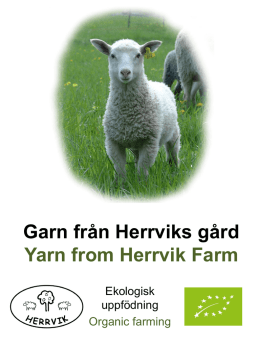 Garn från Herrviks gård Yarn from Herrvik Farm Ekologisk uppfödning Organic farming   Vi följer naturens rytm i vår uppfödning, och lammen föds i april. We follow.