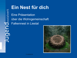Ein Nest für dich Eine Präsentation über die Wohngemeinschaft Falkennest in Liestal  F1150-K03-I01   Geschichtliche Entwicklung • Das Falkennest wurde 1996 als • 1999 wurde aufgrund Jugendwohngruppe gegründet mangelnder.