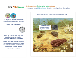 Era Paleozoica  Paleo: antigua, Zoica: vida (Vida antigua) Comienza hace 570 millones de años con el período Cámbrico  Pero por ahora sólo existen.