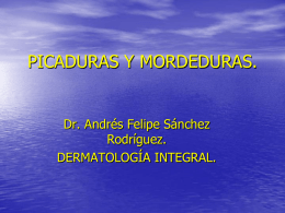 PICADURAS Y MORDEDURAS.  Dr. Andrés Felipe Sánchez Rodríguez. DERMATOLOGÍA INTEGRAL.   • TROMBIDIASIS. • PULICIASIS. • CIMICIASIS. • OTROS ARTROPODOS (MOSQUITOS,  MOSCAS, TABANOS, ABEJAS, AVISPAS, HORMIGAS, GARRAPATAS, ARAÑAS, ETC.)   PIQUETES DE.