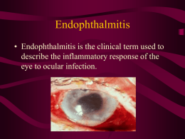 Endophthalmitis • Endophthalmitis is the clinical term used to describe the inflammatory response of the eye to ocular infection.  Drugs 1996, 52(4), 526-540   Classification Endophthalmitis can.