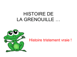 HISTOIRE DE LA GRENOUILLE … Histoire vraie !  Histoire tristement vraie ! Histoire vraie !   Imaginez une marmite remplie d'eau froide dans laquelle nage tranquillement une grenouille.   Le.