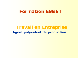 Formation ES&ST Travail en Entreprise Agent polyvalent de production    Analyse d’une situation de travail par la méthode de l’approche par les risques   Situation de travail M.