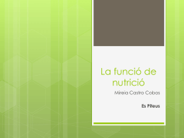 La funció de nutrició Mireia Castro Cobos Es Piteus   Aparell digestiu Mireia Castro Cobos Es Piteus   Què és la digestió?  És  el procés en què l’aparell digestiu transforma els aliments.