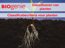Classificeren van planten Classificatiecriteria voor planten   Criteria om planten in te delen  Zijn er vaatbundels aanwezig? Criteria Vaatbundels Sporenvorming Zaadvorming Zaden in een kegel of vrucht  Zijn er bij de vaatplanten.