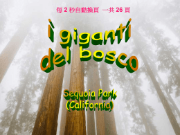 每 2 秒自動換頁 一共 26 頁   Giants_Forest_森林巨人 世界爺國家公園 (Sequoia National Park)， 內之雪曼將軍(General Sherman) 世界爺大樹 (Sequoiadendron giganteum)， 胸圍 998 吋，樹高 275 呎，樹冠幅 107 呎，被 評為加州最大的冠軍樹， 它也是迄今所知全世界最大的樹。                           Fine http://vigi.beedoo.org.