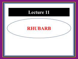 Lecture 11  RHUBARB   Botanical Description Botanical Name :  Rhubarb rhaponticum  Family  :  Polygonaceace  Ch. Number  :  2n=22  Origin  :  Southern Siberia and China    AREA AND PRODUCTION • Rhubarb is a native of the cooler areas.