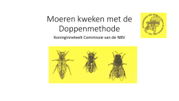 Moeren kweken met de Doppenmethode Koninginneteelt Commissie van de NBV    Inleiding (1)   Inleiding (2)   Inleiding (3)                    Bedankt voor de aandacht  Henk Roerink Met dan aan de auteur: Jan Charpentier.