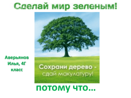 Аверьянов Илья, 4Г класс  потому что…   Леса – это лёгкие нашей планеты   Деревья – это сырьё для производства бумаги.   Чтоб произвести бумагу надо вырубить множество деревьев, которые росли.