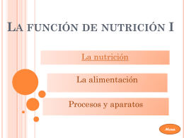 LA FUNCIÓN DE NUTRICIÓN I La nutrición La alimentación Procesos y aparatos Menú   LA NUTRICIÓN Por qué No descansa Energía Materiales Función de Nutrición – todos los procesos (energía y materiales). Cómo Tomar.