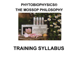 The Mossop Philosophy Training Syllabus
