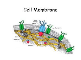 Biological Membrane