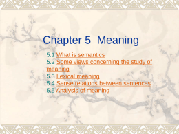 Chapter 5 Meaning
