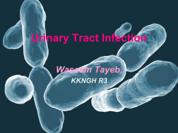 UTI - Saudi Urology Group
