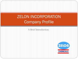 ZELON Company Profile