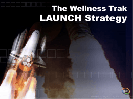 STRATEGY - The Wellness Network