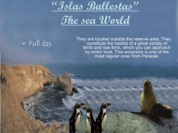 "Islas ballestas" the sea word