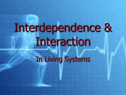Interdependence & Interaction