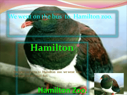 Hamilton Zoo. - Room11Kereru