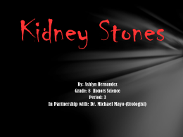 Kidney Stones - scientistsintheclassroom