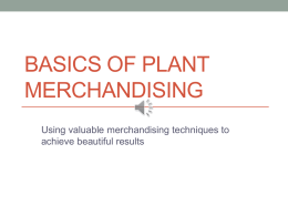 Basics of Plant Merchandising