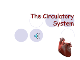 Circulatory systemx