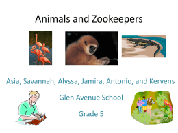 Animals and Zookeepers