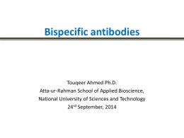 Bispecific antibodies - Lectures For UG-5