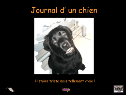 Journal d`un chien