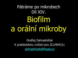 JZ14_Biofilm_a_oralni_mikrobiologie_EL