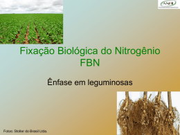 Módulo 1 A importância do nitrogênio para o seres vivos. O N