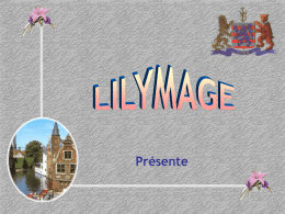Bruges Lilymage Fr