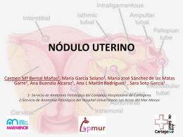 Tumor Leiomio-Adenomatoide Uterino.