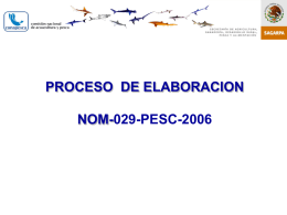 Proceso de Elaboración (archivo PPT)