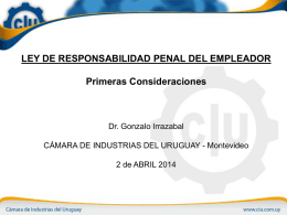 Presentación Dr. Irrazabal - Cámara de Industrias del Uruguay