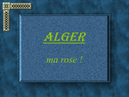 4_alger_ma_rose - Alger de ma jeunesse