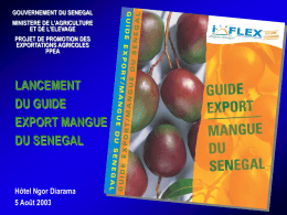 guide export mangue du senegal