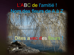 01-abc_de_l-amitie