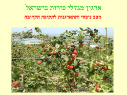 ארגון מגדלי פירות בישראל