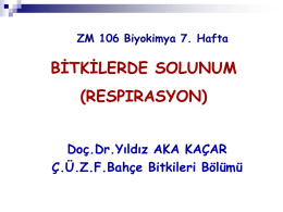 Solunum - BahceBitkileri.org